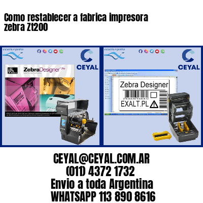 Como restablecer a fabrica impresora zebra Zt200