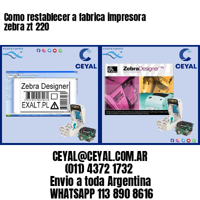 Como restablecer a fabrica impresora zebra zt 220