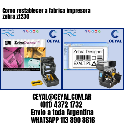 Como restablecer a fabrica impresora zebra zt230