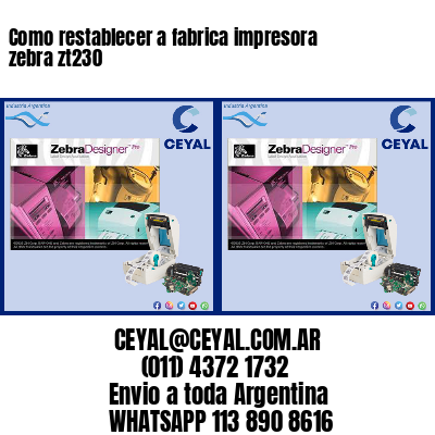 Como restablecer a fabrica impresora zebra zt230