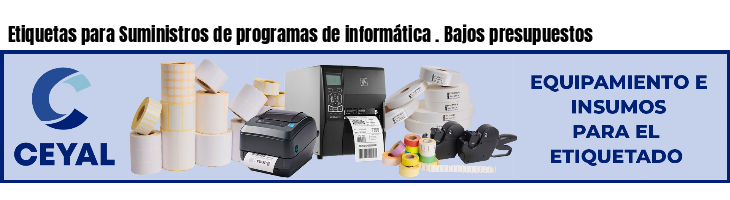 Etiquetas para Suministros de programas de informática . Bajos presupuestos