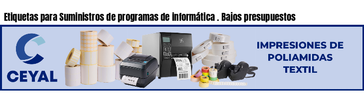 Etiquetas para Suministros de programas de informática . Bajos presupuestos