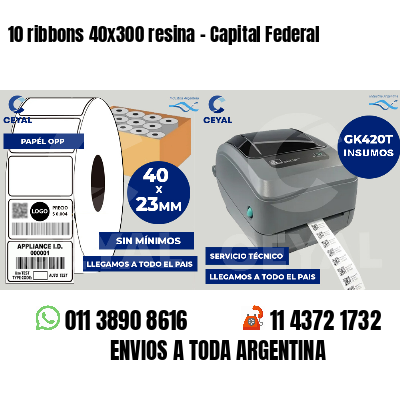 10 ribbons 40x300 resina - Capital Federal