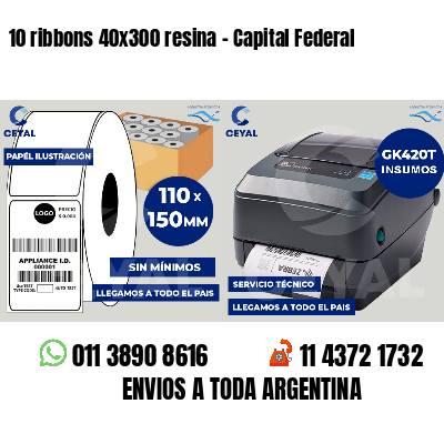 10 ribbons 40x300 resina - Capital Federal