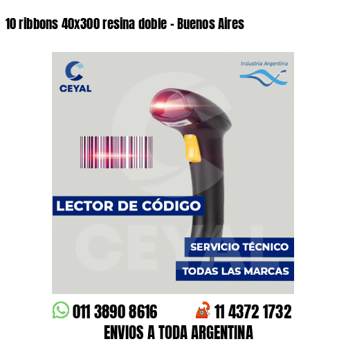 10 ribbons 40x300 resina doble - Buenos Aires