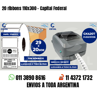 20 ribbons 110x300 - Capital Federal