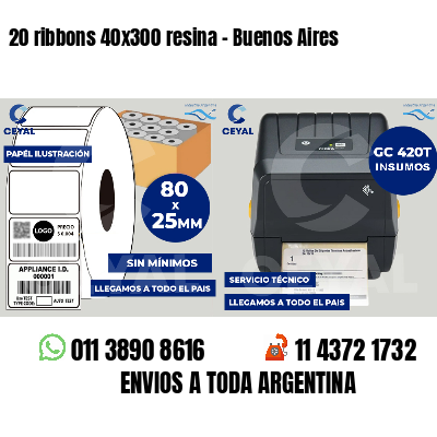20 ribbons 40x300 resina - Buenos Aires