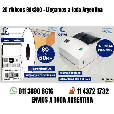 20 ribbons 60x300 - Llegamos a toda Argentina