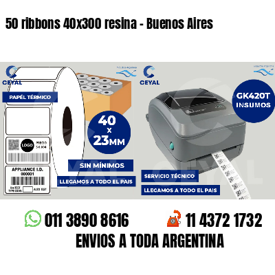 50 ribbons 40x300 resina - Buenos Aires