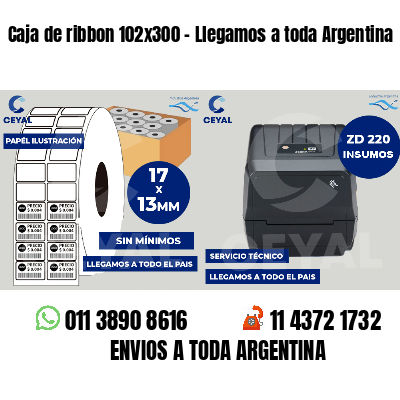 Caja de ribbon 102x300 - Llegamos a toda Argentina