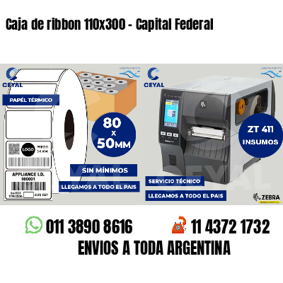Caja de ribbon 110x300 - Capital Federal