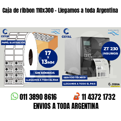 Caja de ribbon 110x300 - Llegamos a toda Argentina