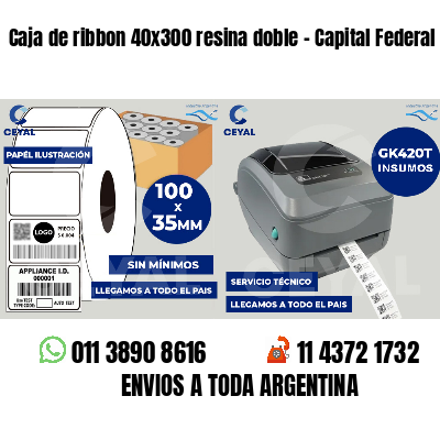 Caja de ribbon 40x300 resina doble - Capital Federal