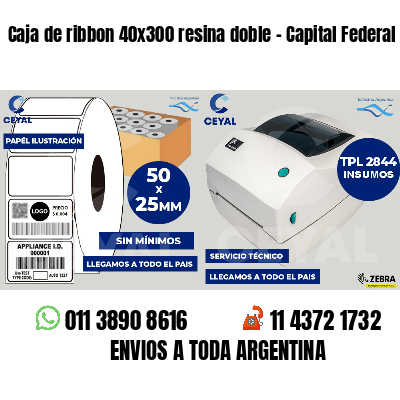 Caja de ribbon 40x300 resina doble - Capital Federal