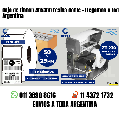 Caja de ribbon 40x300 resina doble - Llegamos a toda Argentina