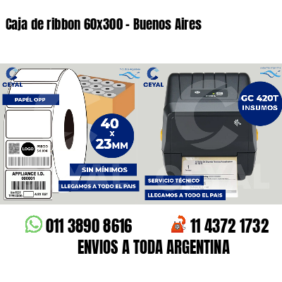 Caja de ribbon 60x300 - Buenos Aires