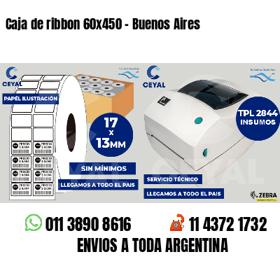 Caja de ribbon 60x450 - Buenos Aires