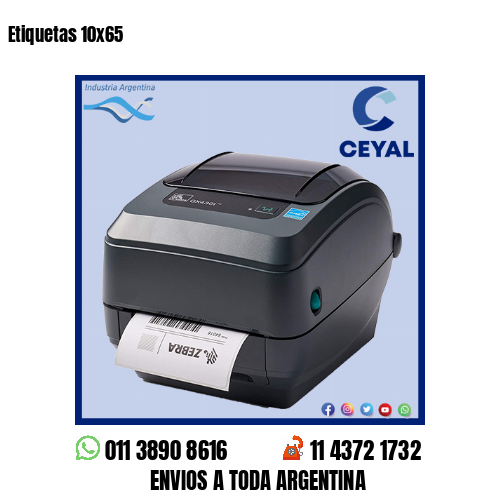 Etiquetas 10×65