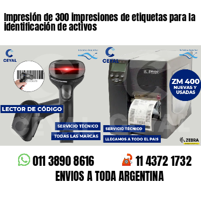 Impresión de 300 impresiones de etiquetas para la identificación de activos