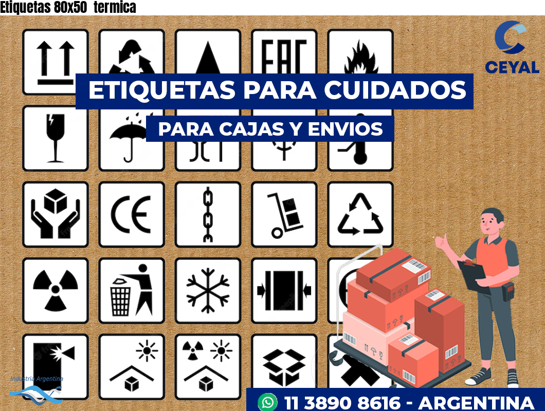 Etiquetas 80x50 termica