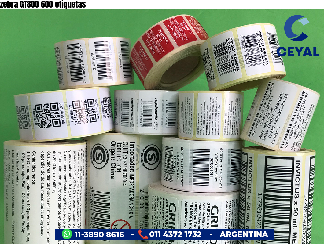zebra GT800 600 etiquetas