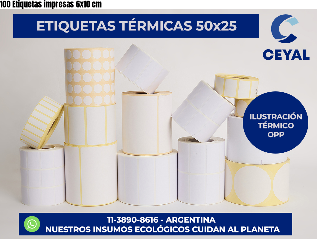 100 Etiquetas impresas 6×10 cm