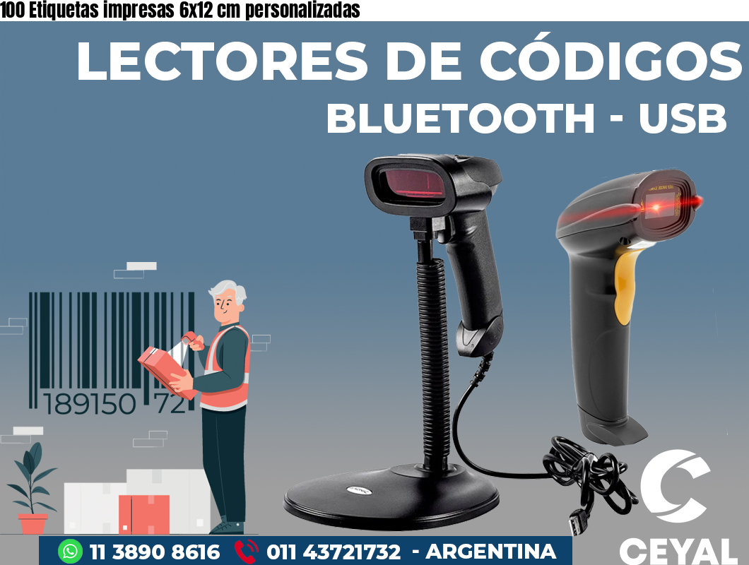 100 Etiquetas impresas 6x12 cm personalizadas