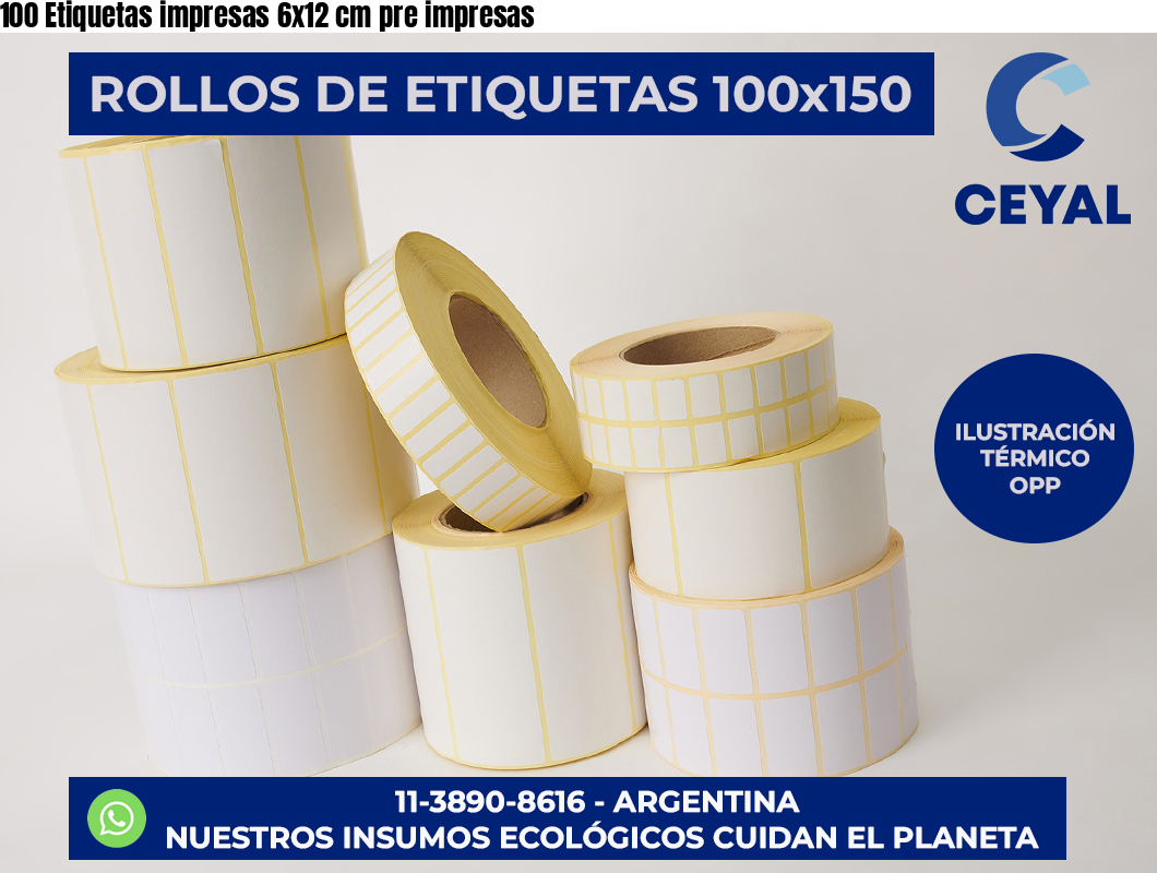 100 Etiquetas impresas 6×12 cm pre impresas