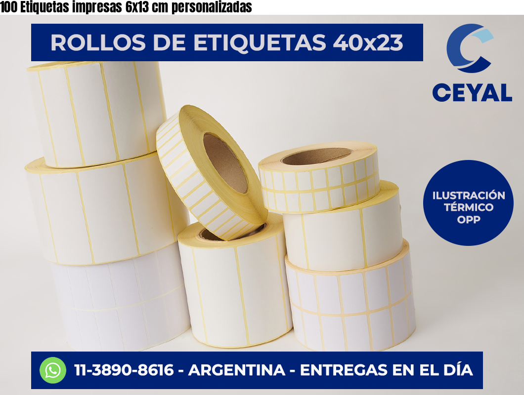100 Etiquetas impresas 6×13 cm personalizadas