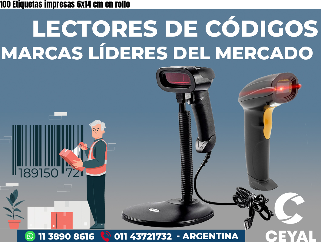 100 Etiquetas impresas 6x14 cm en rollo