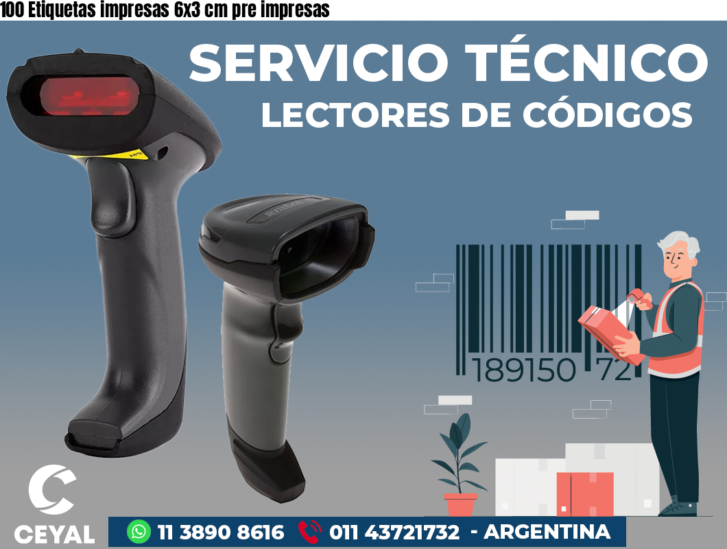 100 Etiquetas impresas 6x3 cm pre impresas