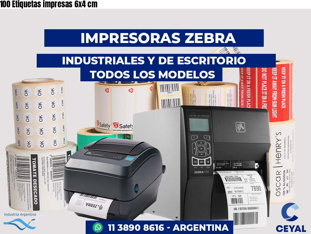 100 Etiquetas impresas 6x4 cm
