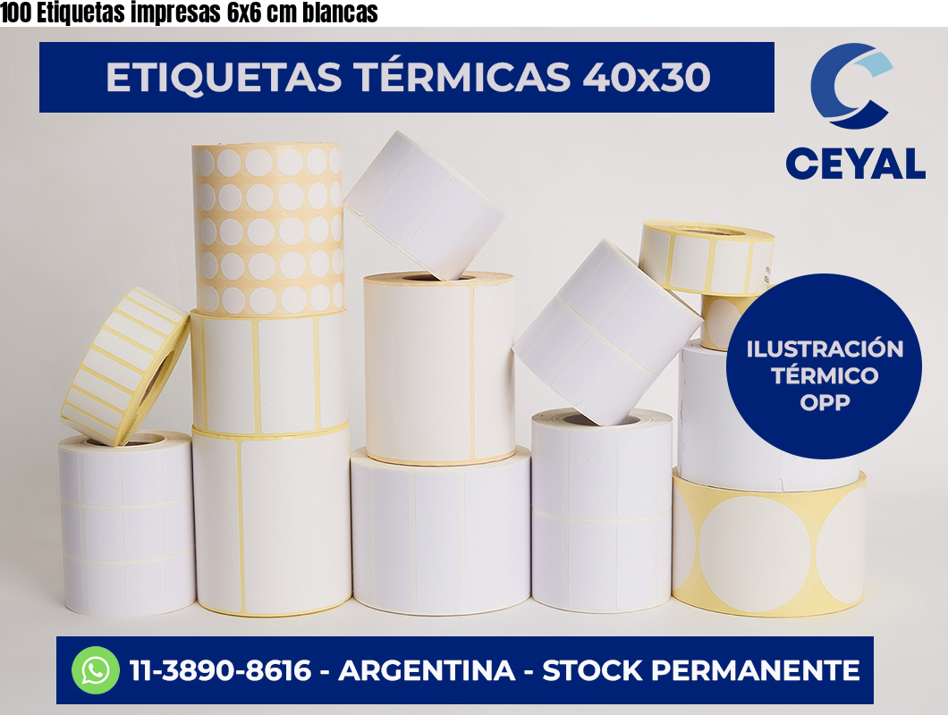 100 Etiquetas impresas 6×6 cm blancas