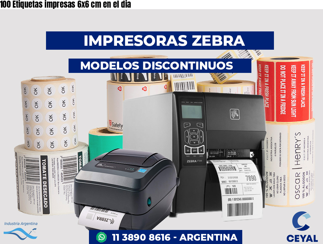 100 Etiquetas impresas 6x6 cm en el dia