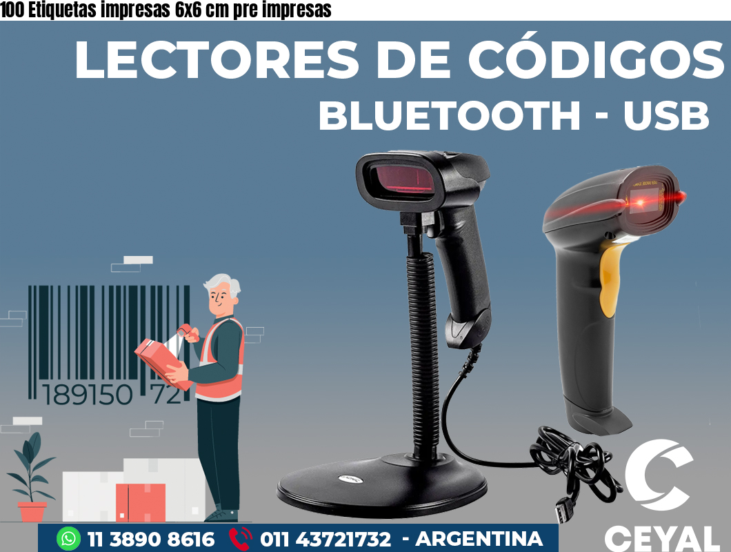 100 Etiquetas impresas 6x6 cm pre impresas