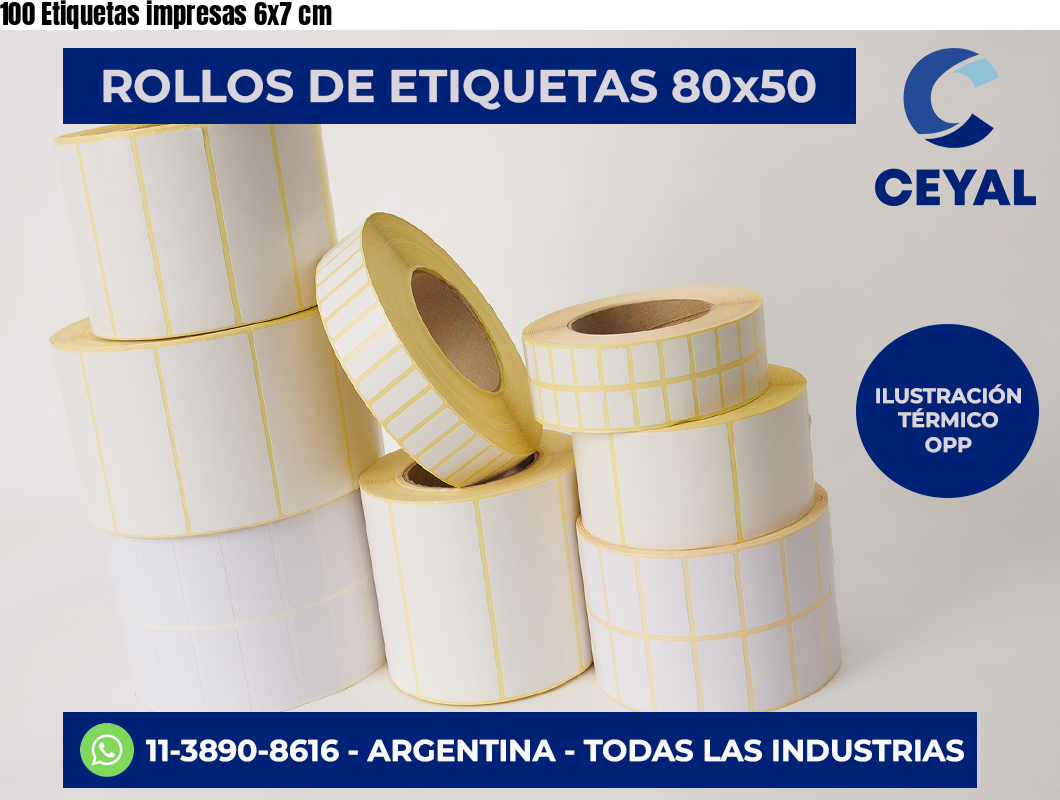 100 Etiquetas impresas 6×7 cm