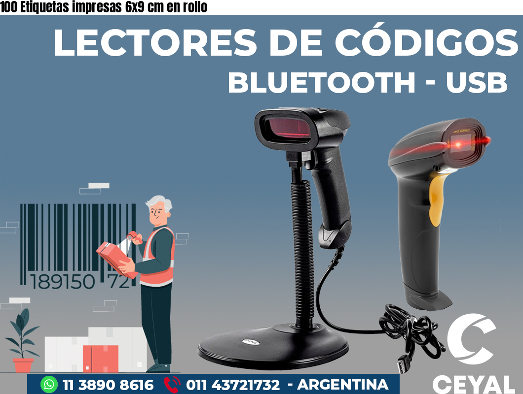 100 Etiquetas impresas 6x9 cm en rollo