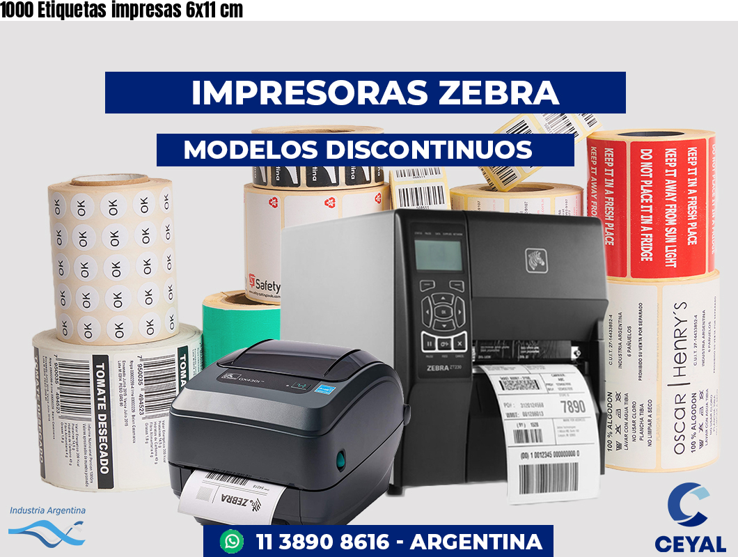 1000 Etiquetas impresas 6x11 cm