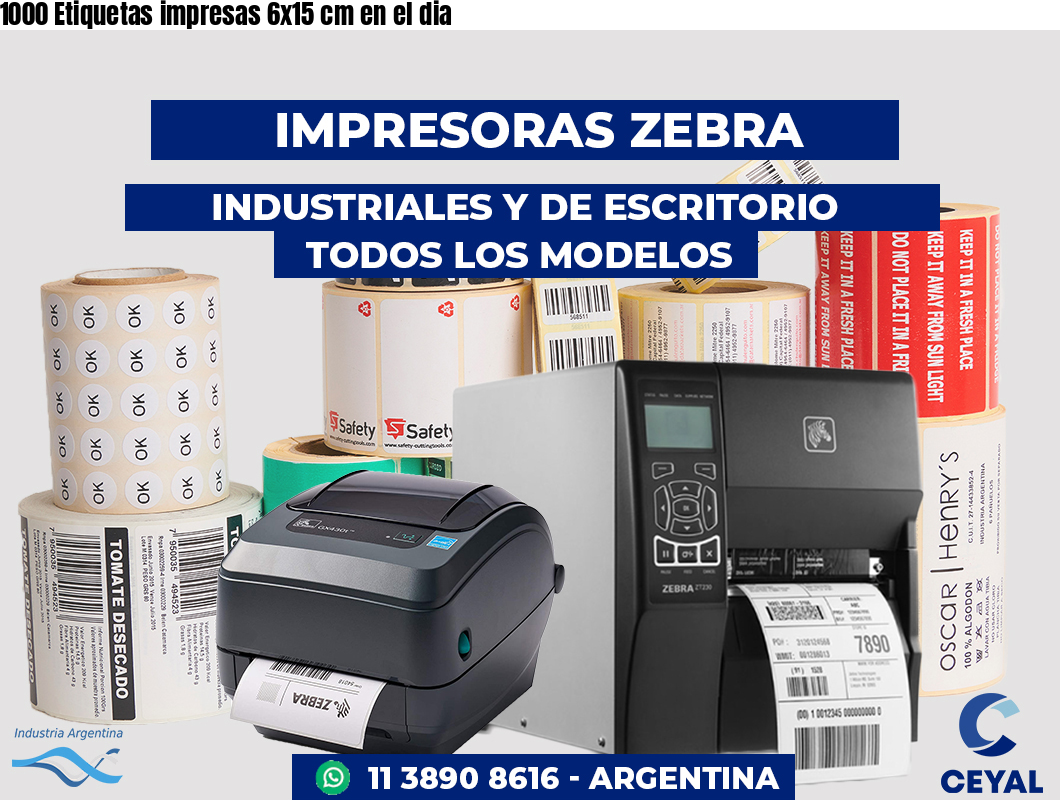 1000 Etiquetas impresas 6x15 cm en el dia
