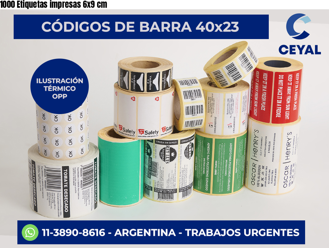 1000 Etiquetas impresas 6×9 cm