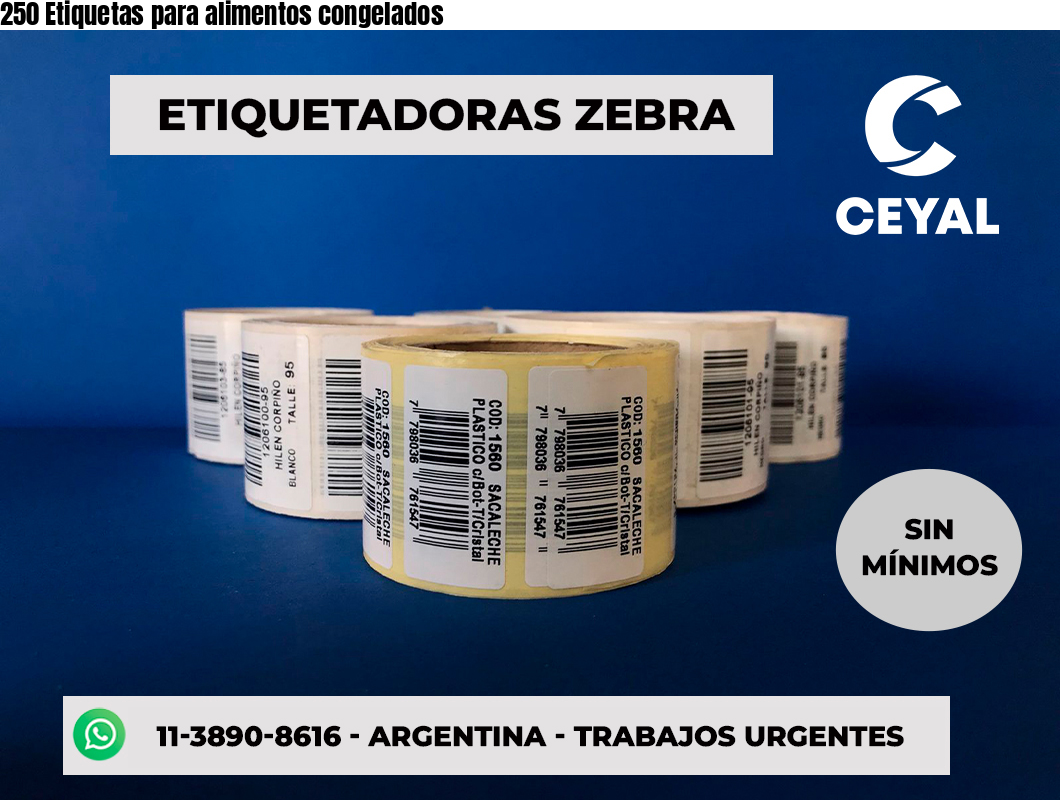 250 Etiquetas para alimentos congelados