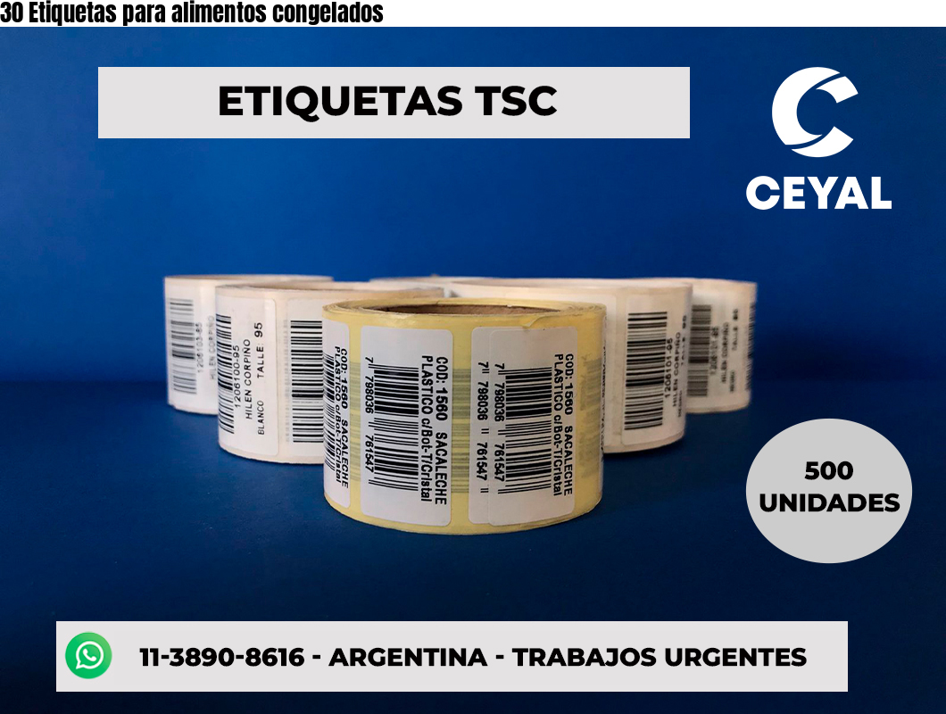 30 Etiquetas para alimentos congelados