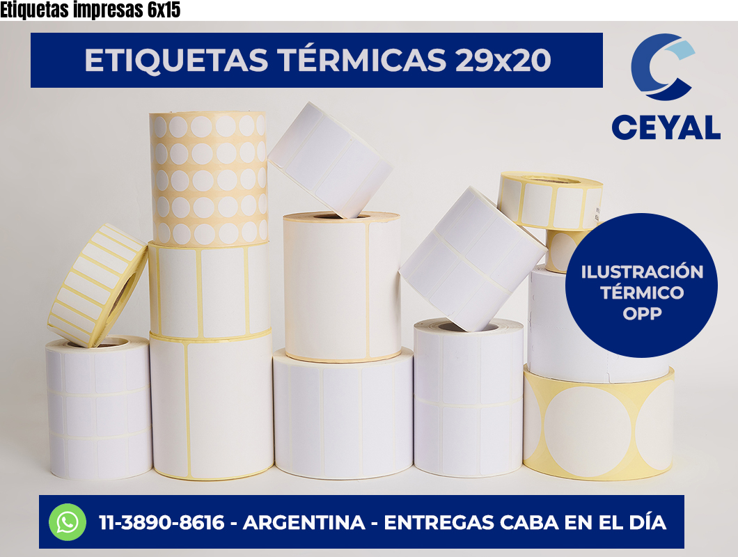 Etiquetas impresas 6×15