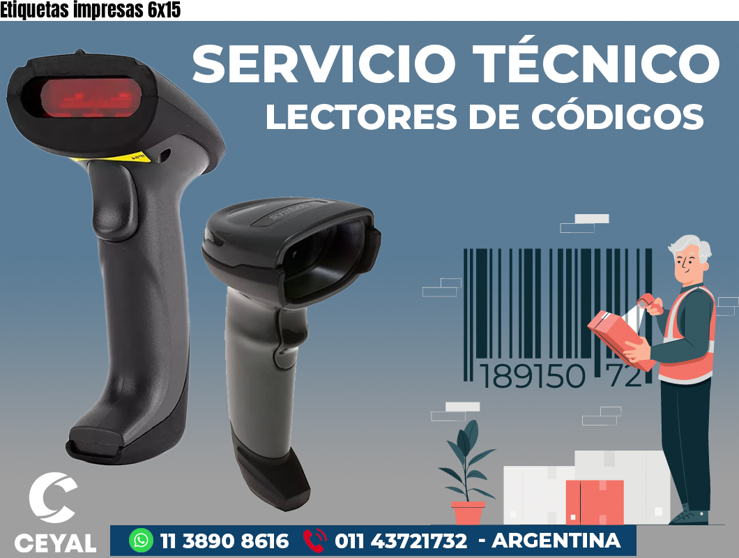 Etiquetas impresas 6x15