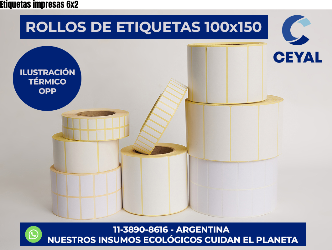 Etiquetas impresas 6×2