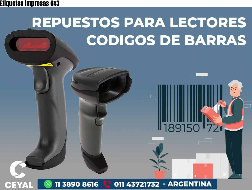 Etiquetas impresas 6x3