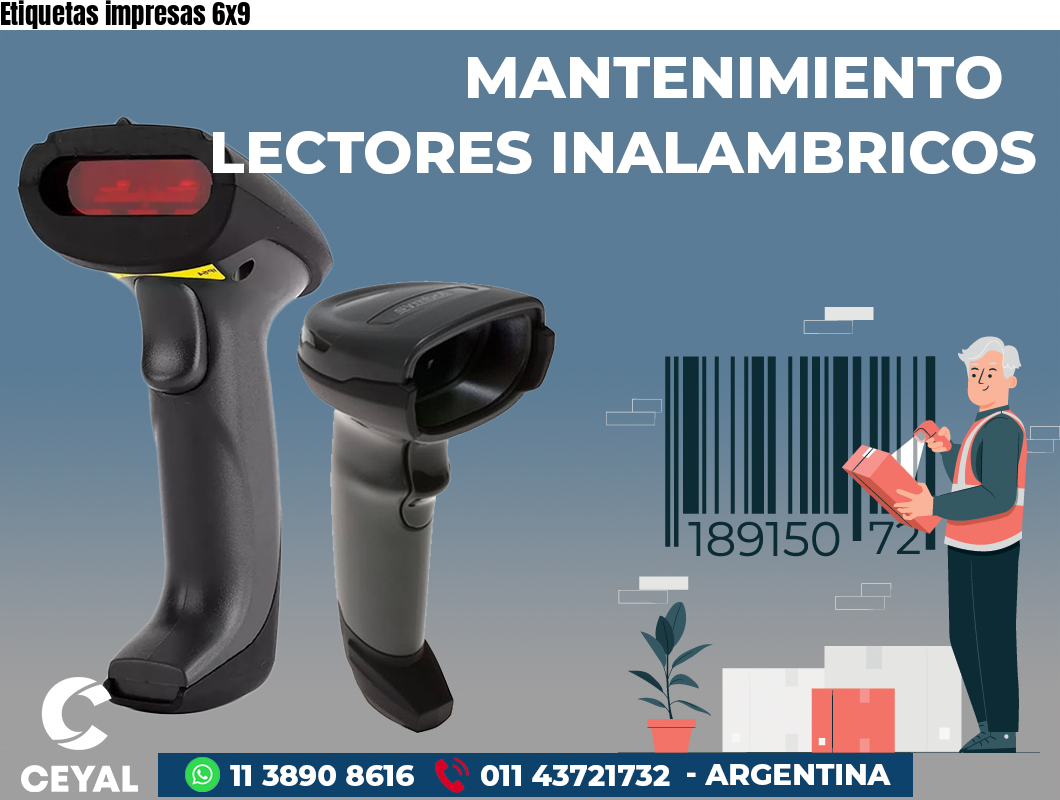Etiquetas impresas 6x9