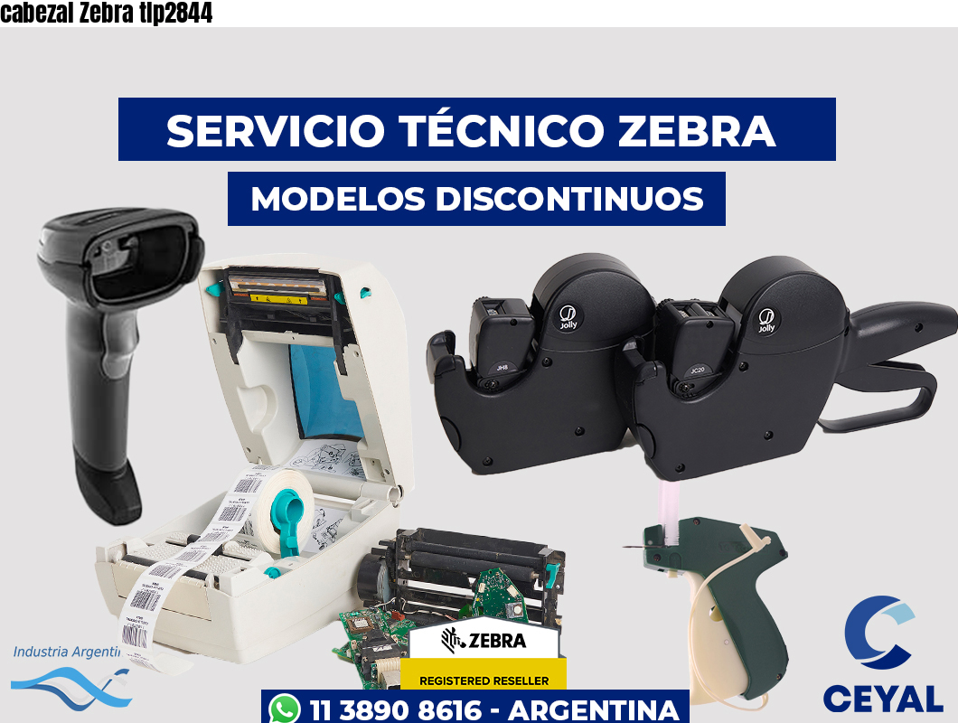 cabezal Zebra tlp2844