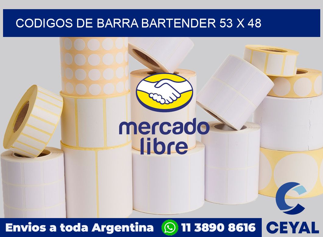 Codigos de barra Bartender 53 x 48