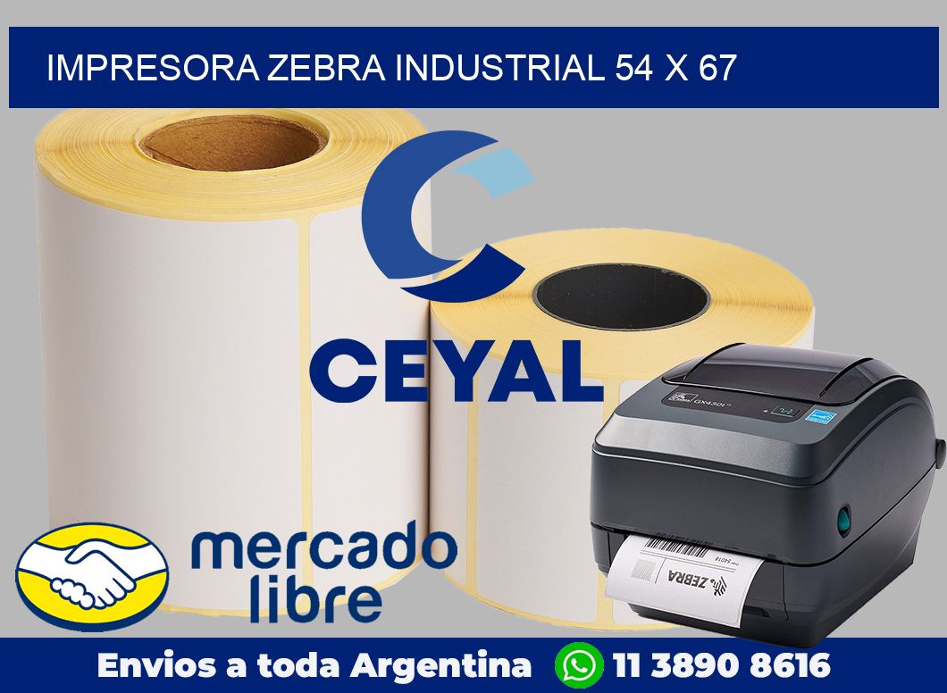 Impresora Zebra industrial 54 x 67